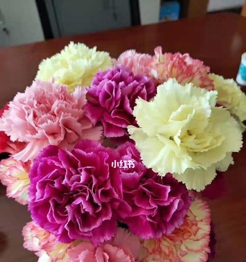 康乃馨（康乃馨的花语及文化意义）