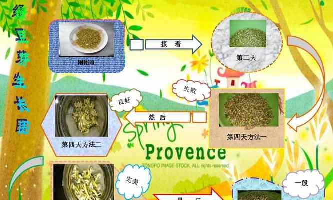 绿豆芽的最佳保存方法（如何让绿豆芽保持新鲜）