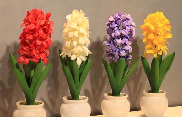 花开花谢，情意绵绵——解读风信子鲜花的花语之美（风信子花语中的柔情脉脉与浪漫爱意）