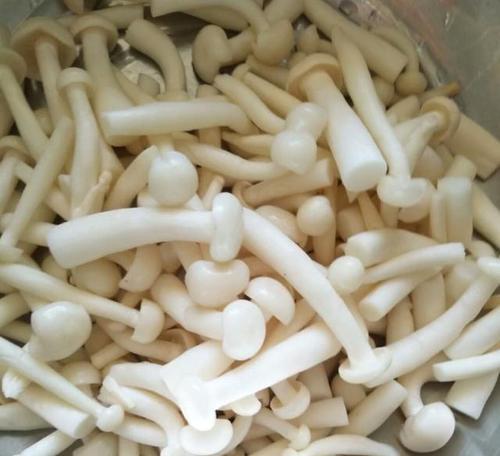 教你轻松洗干净白玉菇，让你的菜肴更美味（教你轻松洗干净白玉菇）