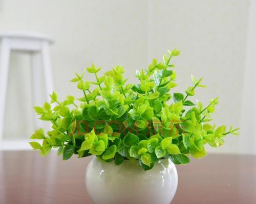 植物室内装饰的意义——为生活注入自然的灵感（植物室内装饰）