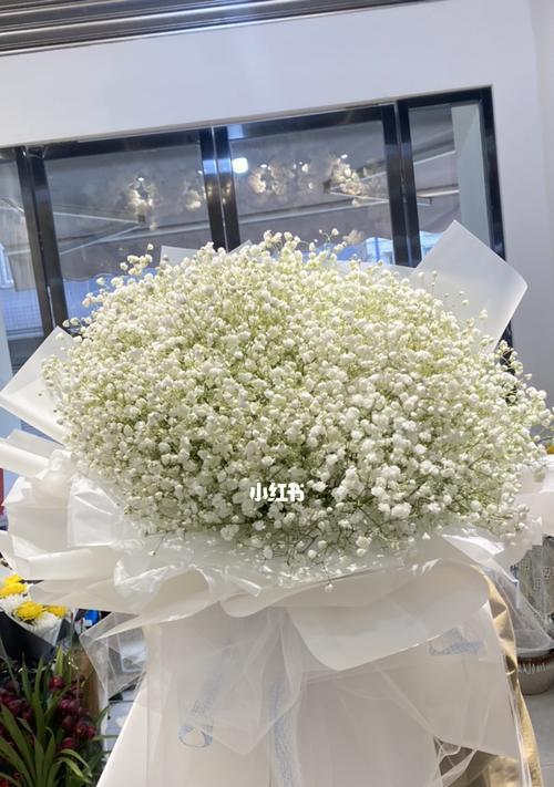 花白色满天星的寓意与象征意义（美丽的花海）