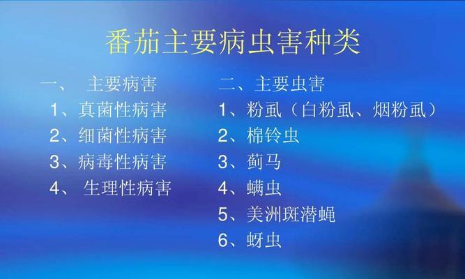 番茄炭疽病的发病原因与治疗方法（探究番茄炭疽病的成因和有效的治疗手段）