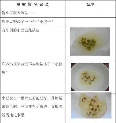 飞燕草种子发芽时间及方法探究（观察种子发芽的必要性）