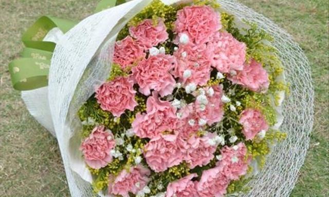 送花康乃馨代表什么含义？如何正确表达情感？