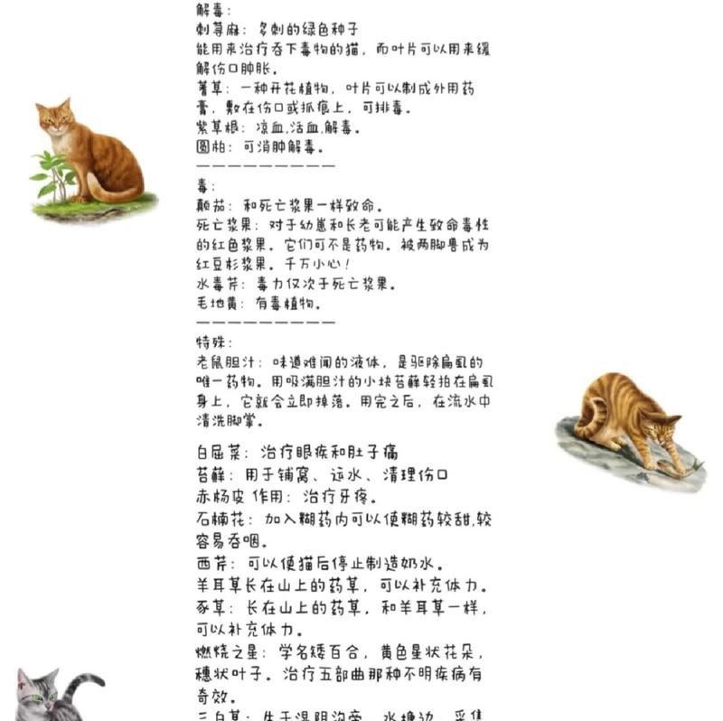 猫草和猫薄荷的区别是什么？如何正确选择给猫咪？