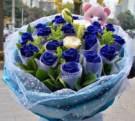 送一支蓝玫瑰代表什么意思？蓝玫瑰的花语和含义是什么？