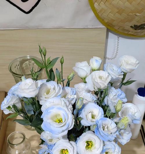 碎冰蓝洋桔梗花语是什么？了解其独特含义和象征意义？