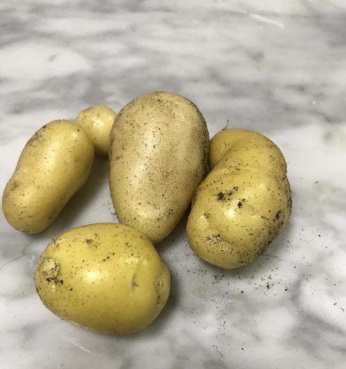 猫可以吃土豆吗？土豆对猫咪健康的影响是什么？