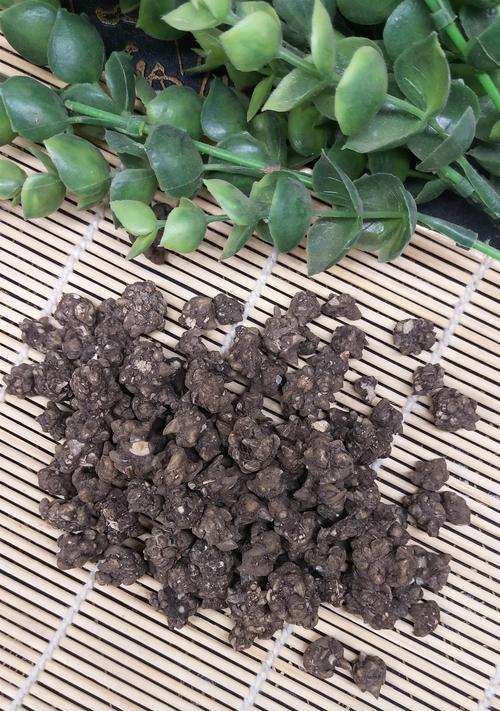猫爪草是什么？中药别名有哪些？药用价值如何体现？