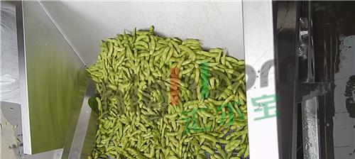 毛豆怎么储存才新鲜？最佳保存技巧是什么？