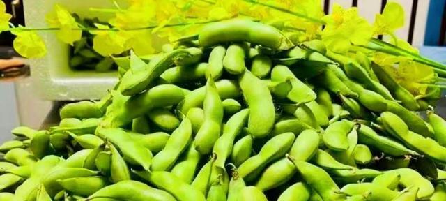 毛豆生吃安全吗？生吃毛豆的正确方法是什么？