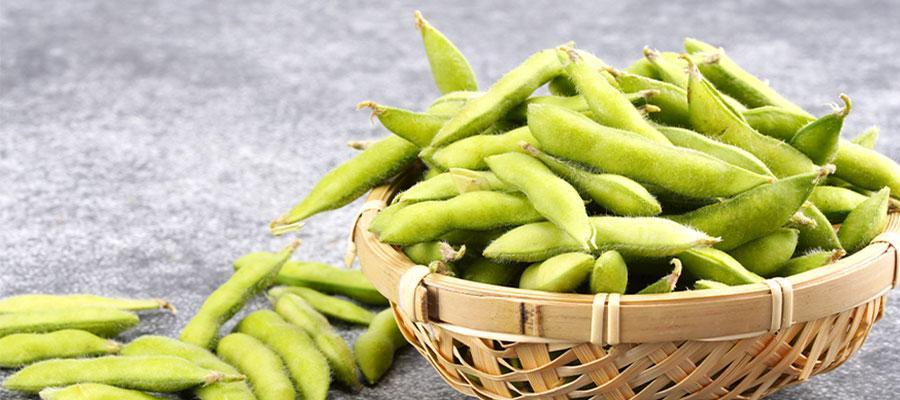 毛豆几月份上市？想知道毛豆上市时间吗？