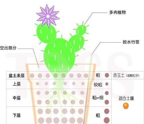 毛汉尼怎么配土？配土比例和方法是什么？