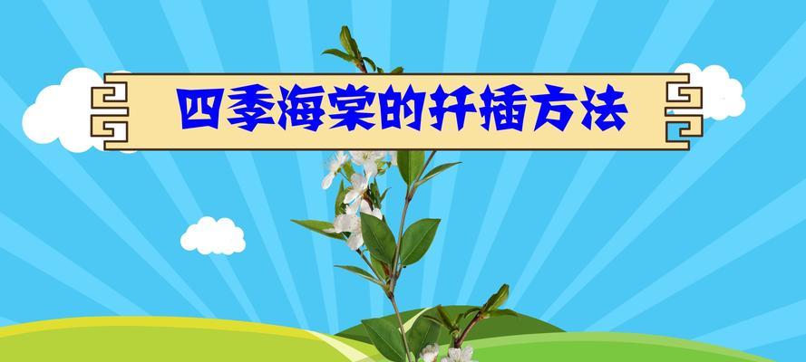 玫瑰海棠浇水方法是什么？如何正确进行浇水？