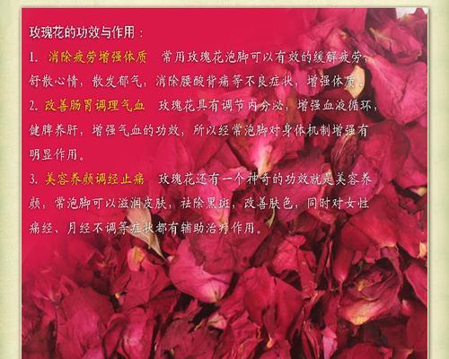 玫瑰花黄叶病是什么原因导致的？如何有效治疗和处理？