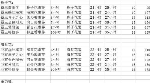 玫瑰花几点开始开放？一天之内开放时间表是什么？