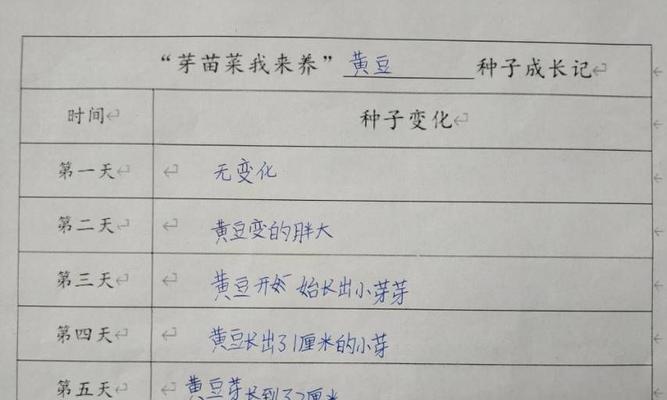 玫瑰花种子怎么种植？种植过程中需要注意哪些问题？