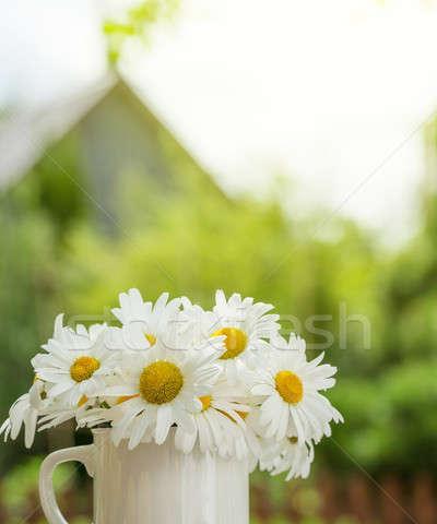 皱菊花代表什么含义？皱菊花的花语是什么？