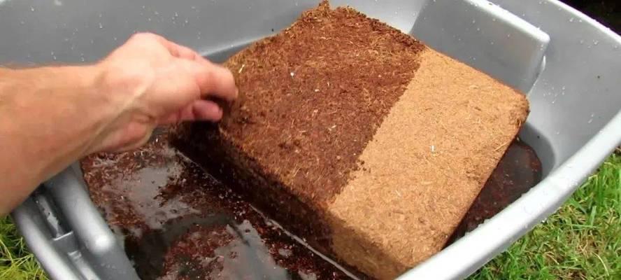 煤渣种花的正确方法是什么？使用煤渣种花有哪些注意事项？