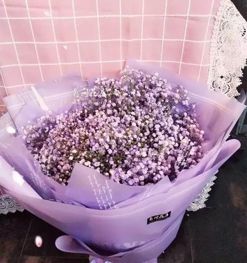 紫色满天星代表什么含义？花语解读与常见问题解答？