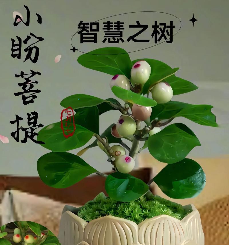植物通常代表什么？它们的象征意义是什么？
