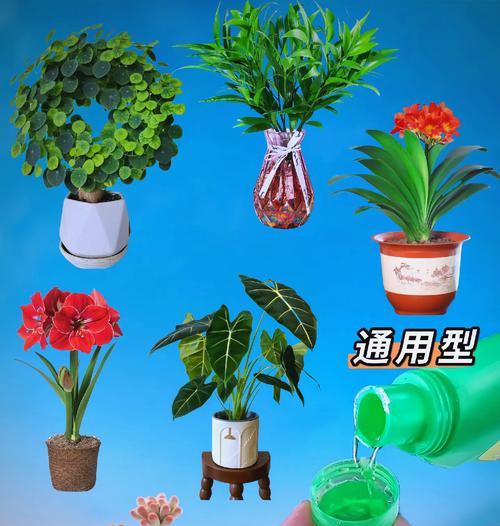水培花卉驯化液是什么？驯化液对水培花卉有何作用？