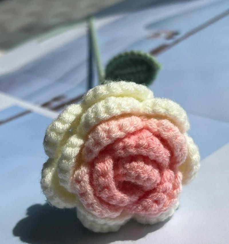 渐变色玫瑰花代表什么？渐变色玫瑰的花语是什么？