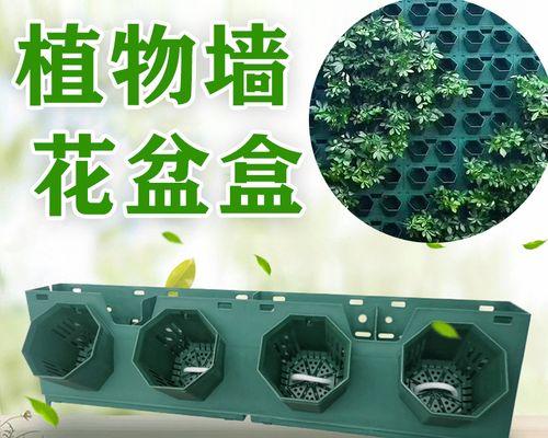 随机植物盒子如何固定植物？固定植物有哪些技巧？