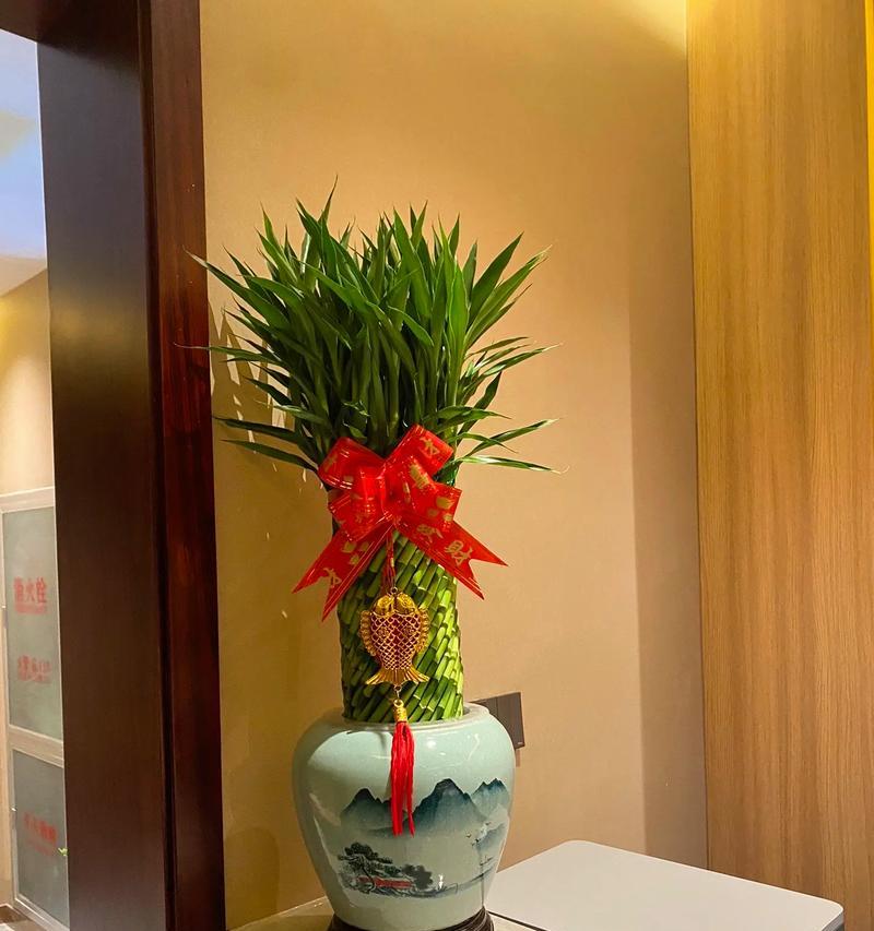 酒店开业适合送哪种植物？植物在开业典礼中扮演什么角色？
