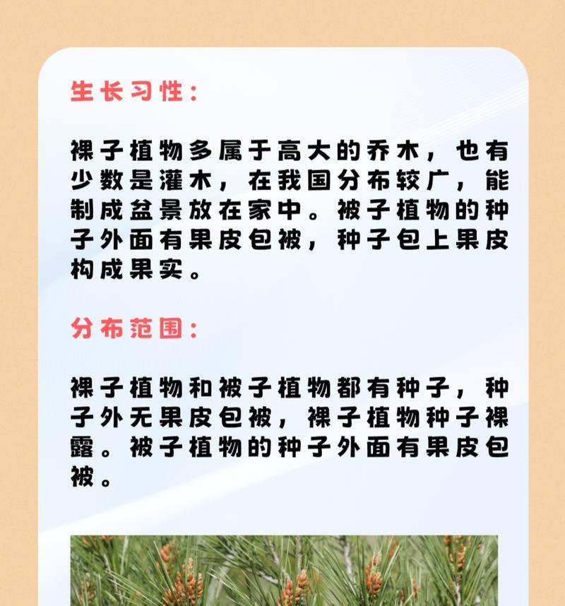植物有果皮包被的植物是什么？果皮包被植物的定义和例子是什么？