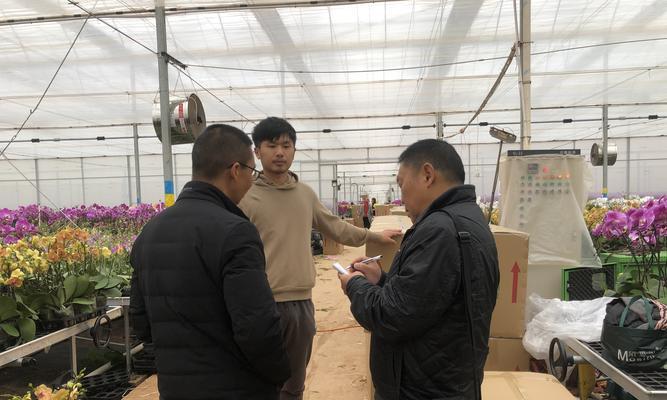 江川花卉园区的企业名称是什么？主要经营哪些业务？