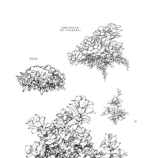 植物群殴画面的绘画技巧是什么？