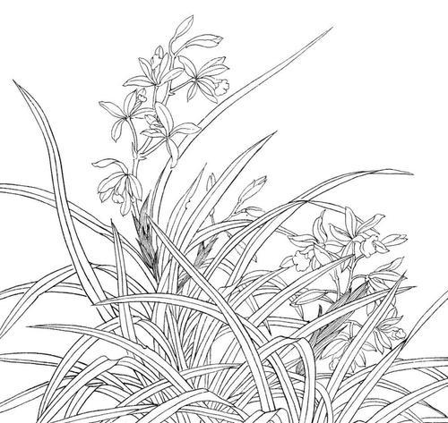 植物群殴画面的绘画技巧是什么？