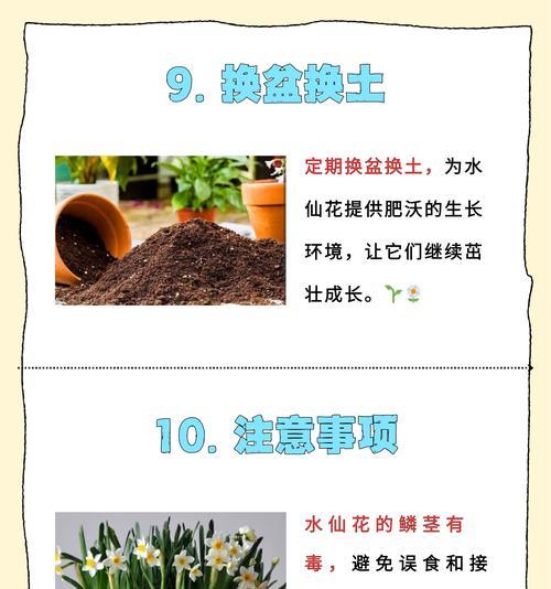 哪些植物适合水培种植？水培植物的养护要点是什么？