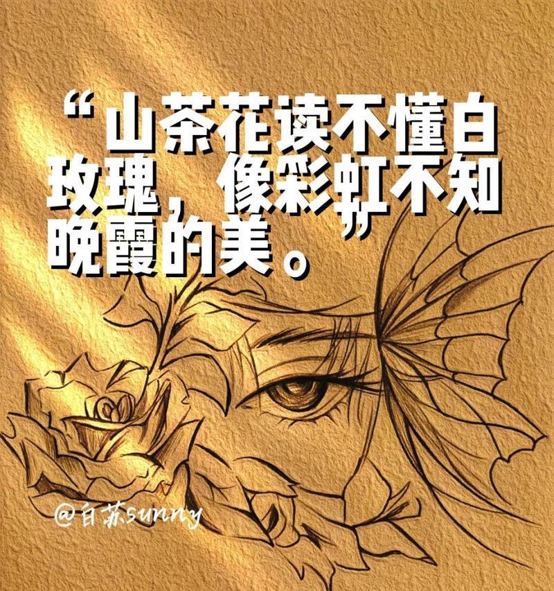 哪种花的花语是晚霞？