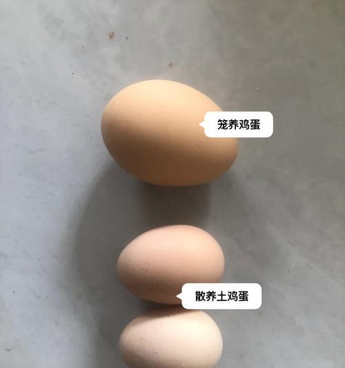 桃树上结鸡蛋是什么预兆？这种现象如何解释？
