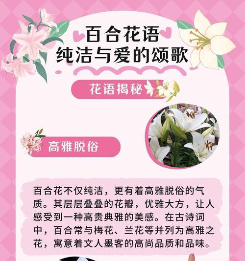 19朵百合花代表什么意义？送花时需要注意什么？