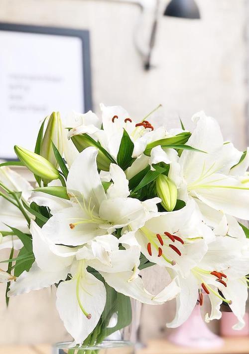 过年送百合花有何寓意？适合送给哪些人？