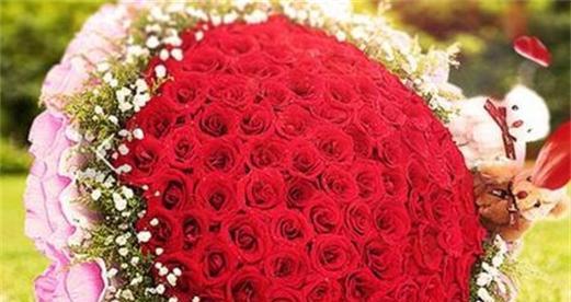 女朋友送什么样玫瑰花？不同颜色玫瑰代表什么情感？