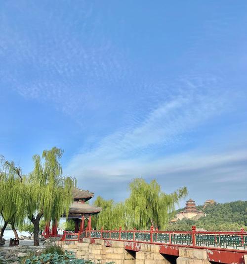 中秋节适合摆放哪些花卉？中秋花卉有哪些寓意？