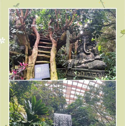 太源植物园有哪些特色植物？太源植物园的植物种类丰富吗？