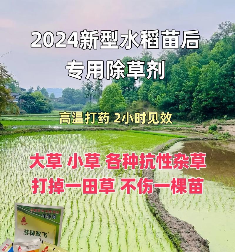 水稻育苗的最佳种植时节是什么时候？