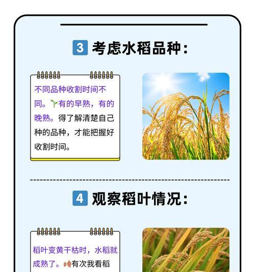水稻育苗的最佳种植时节是什么时候？