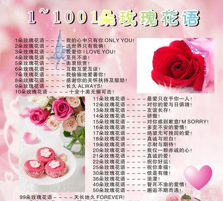 19朵玫瑰花代表什么？它的花语有哪些特别之处？