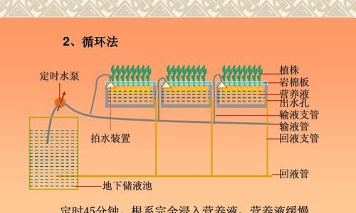 水上花卉种植技术要点有哪些？如何保持花卉健康？