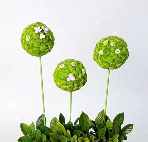 盆栽组和插花组有何不同含义？