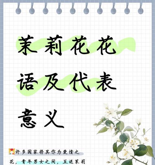 哪种花的花语代表友情？