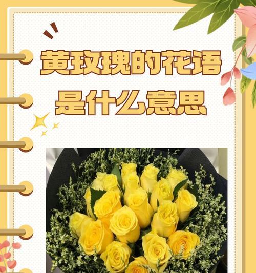 将玫瑰花放入信中有什么特别含义？这代表了什么情感？