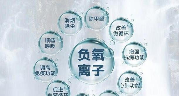 负离子植物对健康有哪些益处？